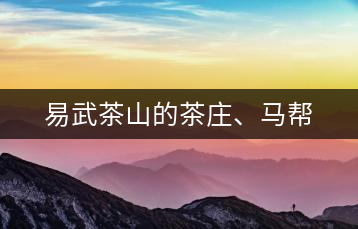 易武茶山的茶莊、馬幫