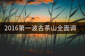 2016第一波古茶山全面調(diào)研第四站——臨滄·大雪山、小戶賽