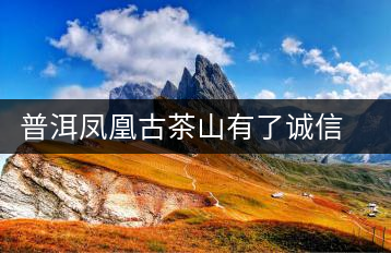 普洱鳳凰古茶山有了誠信聯(lián)盟標準