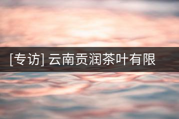 [專訪] 云南貢潤茶葉有限公司董事長張光輝