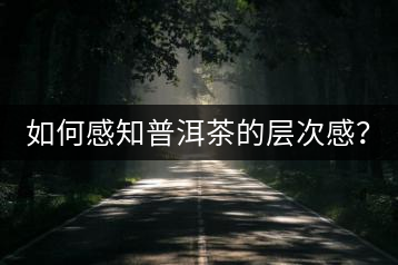 如何感知普洱茶的層次感？