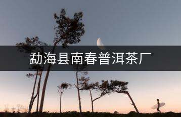 勐?？h南春普洱茶廠