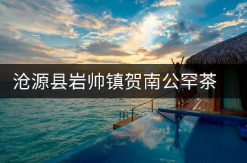 滄源縣巖帥鎮(zhèn)賀南公罕茶所