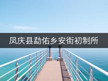 鳳慶縣勐佑鄉(xiāng)安街初制所