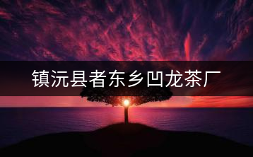 鎮(zhèn)沅縣者東鄉(xiāng)凹龍茶廠