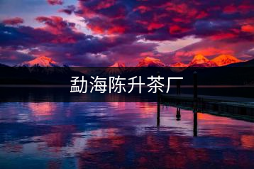 勐海陳升茶廠