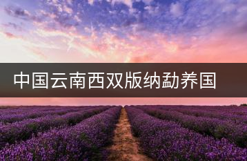 中國云南西雙版納勐養(yǎng)國艷茶廠