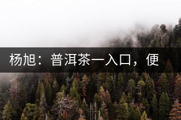 楊旭：普洱茶一入口，便知產(chǎn)地和年份