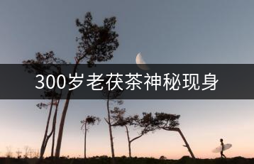 300歲老茯茶神秘現(xiàn)身