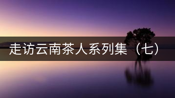 走訪云南茶人系列集（七）：趕騾趕馬上茶山——杜春嶧
