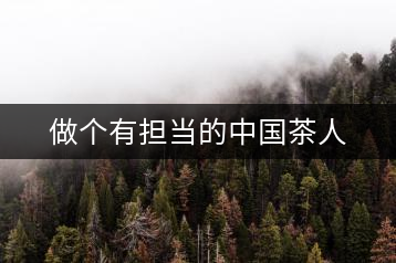 做個有擔(dān)當?shù)闹袊枞? decoding=