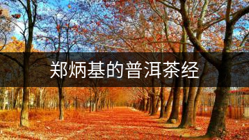 鄭炳基的普洱茶經(jīng)