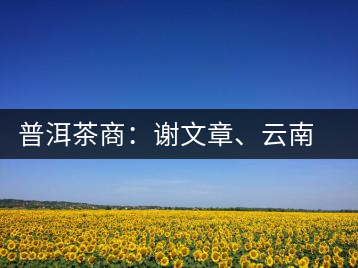 普洱茶商：謝文章、云南谷申商貿(mào)有限公司總經(jīng)理