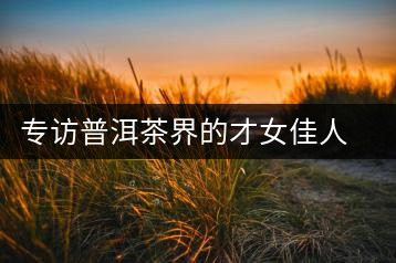 專(zhuān)訪普洱茶界的才女佳人阮殿蓉