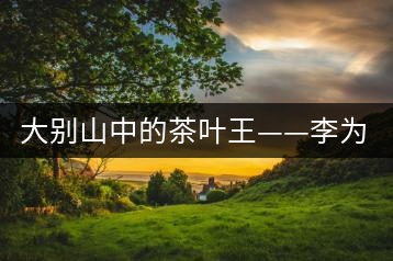 大別山中的茶葉王——李為超