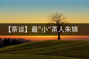 【茶談】最”小”茶人朱錦:喝茶，需要用心