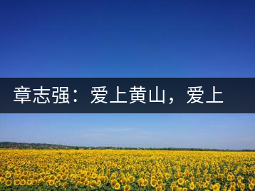章志強(qiáng)：愛(ài)上黃山，愛(ài)上黃山的茶