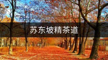 蘇東坡精茶道