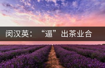閔漢英：“逼”出茶業(yè)合作社，帶領(lǐng)村民走上致富路