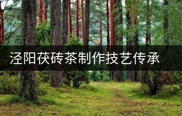 涇陽茯磚茶制作技藝傳承人高續(xù)：金獎(jiǎng)三連冠的背后