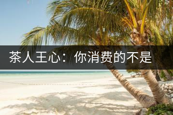 茶人王心：你消費(fèi)的不是茶，是我