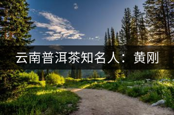 云南普洱茶知名人：黃剛
