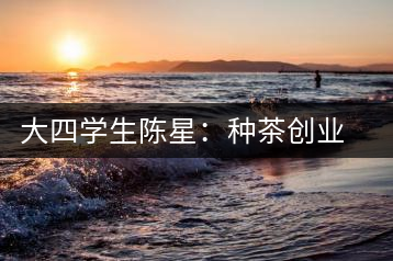 大四學(xué)生陳星：種茶創(chuàng)業(yè) 月銷售額超五十萬