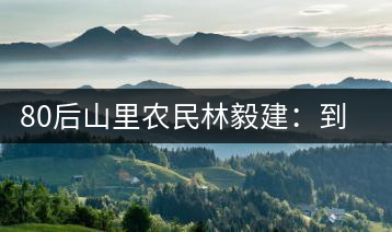 80后山里農(nóng)民林毅建：到特區(qū)“玩”電商賣(mài)茶