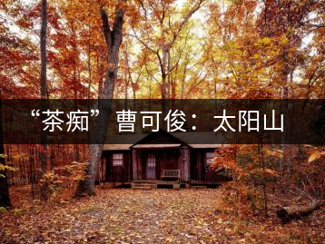 “茶癡”曹可?。禾?yáng)山麓茶飄香，清明時(shí)節(jié)采茶忙