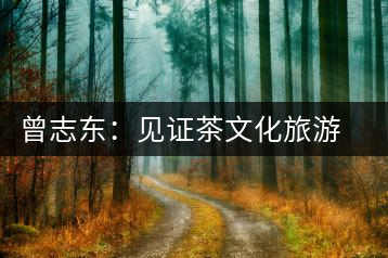 曾志東：見(jiàn)證茶文化旅游節(jié)對(duì)名山茶產(chǎn)業(yè)的推動(dòng)和發(fā)展