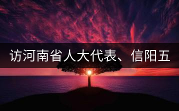 訪河南省人大代表、信陽五岳集團(tuán)董事長胡鎮(zhèn)——茶鄉(xiāng)亦飄茶油香