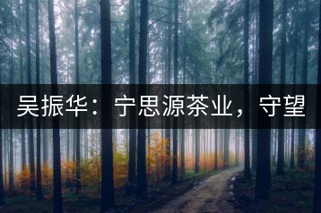 吳振華：寧思源茶業(yè)，守望家鄉(xiāng) 做好“金獎(jiǎng)茶王”