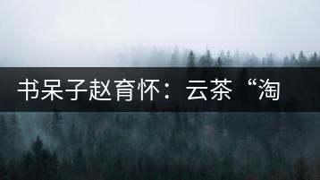 書呆子趙育懷：云茶“淘品牌”的進(jìn)化之路