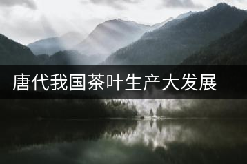 唐代我國(guó)茶葉生產(chǎn)大發(fā)展的歷史時(shí)期