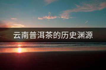 云南普洱茶的歷史淵源