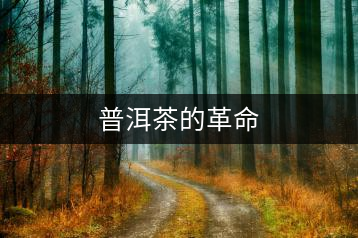 普洱茶的革命