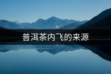 普洱茶內飛的來源