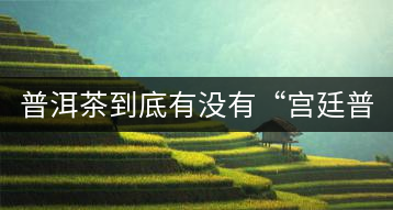 普洱茶到底有沒有“宮廷普洱”一說？它到底是什么？