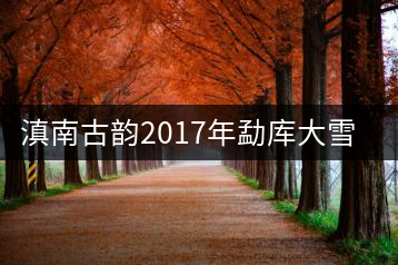滇南古韻2017年勐庫(kù)大雪山開(kāi)湯品鑒