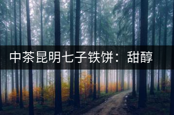 中茶昆明七子鐵餅：甜醇甘潤，陳韻綿長