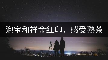 泡寶和祥金紅印，感受熟茶之美。