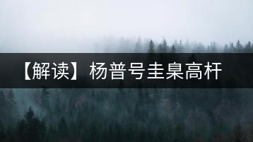 【解讀】楊普號圭臬高桿茶：形高、氣足、韻遠的一款茶