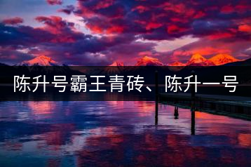 陳升號(hào)霸王青磚、陳升一號(hào)品鑒【圖】