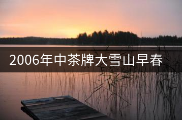 2006年中茶牌大雪山早春圓茶開湯品鑒