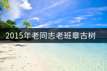 2015年老同志老班章古樹(shù)茶審評(píng)
