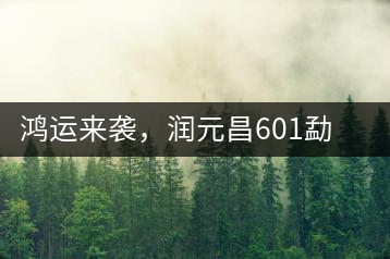 鴻運(yùn)來(lái)襲，潤(rùn)元昌601勐海紅韻熟茶即將上市