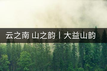 云之南 山之韻丨大益山韻，“韻”味傳奇之山韻歸來(lái)