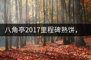 八角亭2017里程碑熟餅，自先發(fā)酵而后愛人