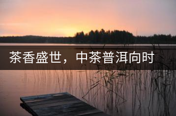 茶香盛世，中茶普洱向時(shí)代獻(xiàn)禮