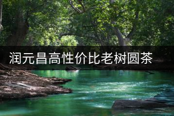 潤(rùn)元昌高性價(jià)比老樹圓茶新品上市
